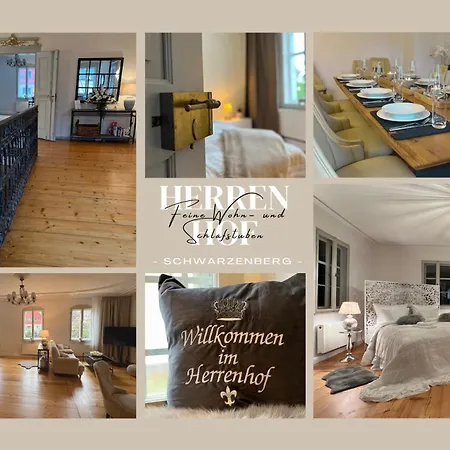 Feine Wohn Und Schlafstuben Im Herrenhaus I Unesco Welterbe I Parkplatz I Erzgebirge I Waldbuehne דירה *